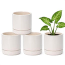 D'vine Dev Set of 4 Small Ceramic Plant Pots, 4.6 Inch Succulent Planter Pot for Plants with Drainage Hole and Saucer, Oatmeal, 94-X-B-8 by GreenHaven Gardens