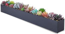 DR&Co Modern Grey Rectangle Planter Box, 16" Metal Planter Perfect for Succulent, Narrow Box for Table or Window Sill, Rectangular Stainless Steel Long by GreenHaven Gardens