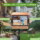 Window Bird Feeder with Strong Suction Cups, Metal Bird Feeders for Outdoors Birdwatching Gifts for Cats & Nature Lovers by CozyNest Decor