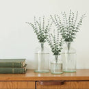 18Pcs Faux Eucalyptus Stems, 15" Artificial Eucalyptus Plants with White Frosted Coating, Fake Eucalyptus Decor Plastic Greenery Leaves for Wedding Bouquets Home Decor DIY Floral Arrangements by CozyNest Decor