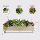 Oblong Faux Succulent Arrangement, 27" Premium Artificial Indoor Plant Enhances Interior Design, Display on any Surface in Your Home Adding an Inviting Touch of Nature, Natural Planter Pot Included by GreenHaven Gardens