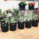 JERIA 12-Pack 10 Gallon, Vegetable/Flower/Plant Grow Bags, Aeration Fabric Pots with Handles (Black), Come with 12 Pcs Plant Labels by GreenHaven Gardens