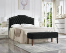 24KF Upholstered Button Tufted Queen Size Full Size Headboard with Nailhead Trim, Soft Velvet Fabric Headboard Queen/Full Size Headboad-Black by CozyNest Decor