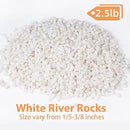2.5 lbs White Aquarium Gravel, 1/5 Inch White Rocks for Plants, Small Pebbles for Vases, Succulents, Bamboo, Natural Decorative Pebbles for Plants Drainage, Cactus, Crafts by CozyNest Decor