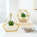 Mkono 4 Inches Mini Glass Geometric Terrarium Container Set of 3 Modern Tabletop Planter Shelves Decor Display Centerpiece for Succulent Miniature Fairy Garden Air Plant, Gold (Plant Not Included) by CozyNest Decor