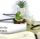 Miniature Frog Figurines - Cute Frog Sculpture for Outdoor Fairy Garden and Desk Decorations - Adorable Figurine Statue Decor for Plant Shelf, Desk, Office, Bedroom by GreenHaven Gardens