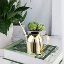 IMEEA Gold Watering Can for Indoor Plants, Orchid, Bonsai - Stainless Steel With Long Spout for House, Desk, Office - 15oz/450ml by GreenHaven Gardens