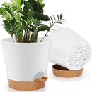 8-Inch Plant Pots, Self-Watering Planters with Drainage Holes & Saucers for Indoor and Outdoor Plants (2-Pack, White) by GreenHaven Gardens