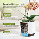 QCQHDU 2 Pack Orchid Pots with Holes for Repotting, Double-Layer and Self Watering Orchid Pot with Good Air Circulation by GreenHaven Gardens