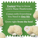 Lion's Mane Mushroom Grow Kit | Grow Your Own Fresh Gourmet Mushrooms at Home | Edible Indoor Mushroom Growing Kits Great Gift by GreenHaven Gardens
