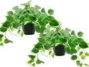 Tiita 2 Pack Fake Plants Artificial Scindapsus Aureus in Pots, Realistic Fake Greenery Potted Plants for Home Office Desk Window Sill Bathroom Bedroom Outdoor Indoor by CozyNest Decor