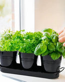vensovo Indoor Herb Planter Set - Galvanized Windowsill Garden Pots with Tray & Drainage, Set of 3 Metal Window Planters for Kitchen & Outdoor Use, Black by GreenHaven Gardens