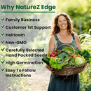 5 Herb Seeds Variety Kit, Oregano, Cilantro, Parsley, Basil, Chives by GreenHaven Gardens