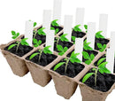 Jucoan 40 Pack Peat Pots Seed Starter Trays, 480 Cells Germination Seedling Pots, Organic Biodegradable Plant Germination Tray with 40 Plant Labels for Vegetable Flower, Herbs, Indoor Outdoor Garden by GreenHaven Gardens