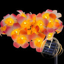 Solar Flowers Outdoor Waterproof - Petunia Blue Morning Glory Flowers&Solar Moth Orchid String Lights 12.5ft 10 LED Phalaenopsis Flower Solar Fairy Lights by GreenHaven Gardens
