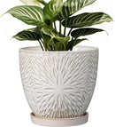 G EPGardening 6 Inch Plant Pot for Indoor Plants Outdoor Round Ceramic Planter Decorative Flower Pot with Drainage Hole and Saucer White by CozyNest Decor