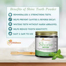 Shine Remineralizing Tooth Powder with Hydroxyapatite, Made in The USA, Fluoride Free Tooth Repair, Natural Teeth Whitening Powder, Teeth Polish & Stain Remover, Mint by CozyNest Decor