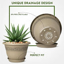 8 Inch Plant Pots with Drainage Hole - Lightweight Flower Pots for Herbs and Flowers - Home Decor Plastic Planters for Indoor Outdoor Plants- Pack of 6 (Brown, 8 inch) by GreenHaven Gardens
