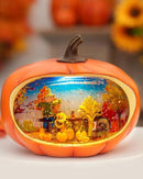Fall Decor Snow Globe Lighted Pumpkin Thanksgiving Decoration Swirling Glitter Snow Globes Pumpkin Table Accent for Fall Harvest Day Decorations,Pumpkin&Scarecrow by CozyNest Decor