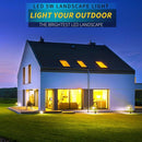 LED Landscape Lights,5W 120V AC Outdoor Pathway Garden Yard Spotlight,IP65 Waterproof Garden Flood Light,Outdoor Spotlight with Stake,UL Cord 5-ft with Plug (Pack of 2, Daylight White) by GreenHaven Gardens