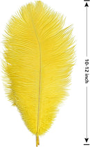 THARAHT Yellow Ostrich Feathers 24pcs Natural Bulk 10-12Inch 25cm-30cm for Crafts Wedding Party Centerpieces Halloween and Home Decoration Feathers by CozyNest Decor