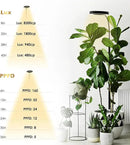 GLOWRIUM Grow Lights for Indoor Plants, 20W Full Spectrum LED Grow Light Floor Lamp with Stand Adjustable Height and Angle, Black Plant Light with 3/9/12H Grow Light Timer