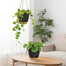 ZMTECH 8 Inch Hanging Planters for Indoor Outdoor Plants, 2 Pack Self Watering Hanging Plant Pots with Drainage Holes and Removable Saucer, Plastic Flower Hanging Pots with Watering Lip (Black) by CozyNest Decor