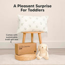 Toddler Pillow with Pillowcase - 13x18 My Little Cuddly Pillow, Viscose Derived From Bamboo Nursery Toddler Pillows for Sleeping,Kids Pillow,Small Travel Pillows, Mini Toddler Bed Pillow (Bumble Bear) by TinyTreasures Baby Boutique