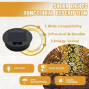 Solar Panel Lantern Lid - Waterproof Led Garden Lights, 2 Pack (Warm/Warm) by GreenHaven Gardens