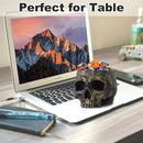 Halloween Skull Candy Dish- Deep Skull Head Halloween Candy Bowl Holder Artificial Resin Skulls Decor Indoor Outdoor Table Centerpieces Flower Pot Plant Office Pen Holder Desktop Ornaments - Bronze by CozyNest Decor