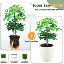 Self-Watering Pots for Indoor Plants, 12-Pack 5'' Self Watering Planter with Drainage Holes, Small African Violet Pots with Water Indicator, Clear Wick Pot, White by CozyNest Decor