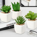 Hollyone Succulents Plants Artificial 4Pcs Small Fake Succulents in Pots Faux Plastic Potted Plants with White Ceramic Pot for Home Decor Office Desk Bathroom Shelf Indoor & Outdoor Decoration by GreenHaven Gardens