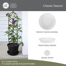 The HC Companies Flower Pot Saucers - Plastic Plant Saucer for Outdoors & Indoors - Traditional Design Plant Pot Trays for Water Drainage - Durable & Stylish Round Plant Tray (6-inch White) by GreenHaven Gardens