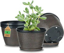 Quarut 4 Pack 6 Inch Flower Pots for Outdoor Indoor, Plastic Plant Pots with Drainage Hole & Saucer, Lightweight Small Flower Pot, Circle Pattern Planters for Garden House planters（Black Copper） by CozyNest Decor