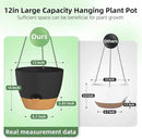 ZMTECH 12 Inch Hanging Planters for Indoor Outdoor Plants, 1 Pack Self Watering Hanging Plant Pots with Drainage Holes and Removable Saucer, Plastic Flower Hanging Pots with Watering Lip (Black) by CozyNest Decor