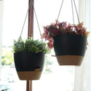 10 Inch Self Watering Hanging Pots, 2 Pack Hanging Planters with 40oZ Deep Reservior for Indoor Outdoor Plants Flowers, Black with Brown by GreenHaven Gardens