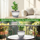 8 Inch Plant Pot, Ceramic Planter with Drainage and Saucer, Ceramic Pots for Plants, Indoor Plant pots,Ceramic Flower pots(Gray + White, Plants NOT Included) by GreenHaven Gardens
