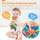 hahaland Baby Books 0-6 Months - 2 PCS Sensory Montessori Toys for Babies 0-6 Months with Crinkle Squeaky Sounds, Mirrors, Teethers - Soft Cloth Tummy Time Book Newborn Infant Toys by TinyTreasures Baby Boutique