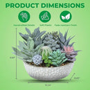 Premium Assorted Artificial Succulent Collection - Large Real Touch Artificial Cactus, Aloe Vera & Succulent Plants Artificial with Pots for Home Office Indoor (Artificial Glass - Pot) by CozyNest Decor