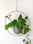 Boho Green Metal Plant Hanger,Metal Wall and Ceiling Hanging Planter, Modern Planter, Mid Century Flower Pot Plant Holder, Minimalist Planter for Indoor Outdoor Home Decor by GreenHaven Gardens