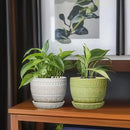 G EPGardening Ceramic Pots for Plants - 5.5 Inch Round Ceramic Planter for Indoor, Boho Succulent Pot with Drainage Hole and Plant Saucer, Gift for Plant Lover, Garden Home Desk Decor, Green