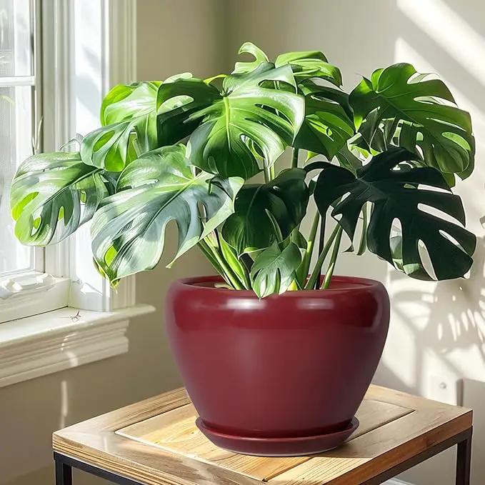 10 Inch Plant Pot - Ceramic Planter Pot with Drainage Hole and Saucer Large Planter for Indoor Plants Round Outdoor Flower Pot Mid-Century Decor Red, photo 5 of 7