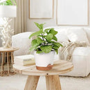 Plant Pots Outdoor Self Watering Pots, Flower Pots with Drainage Hole and Reservoir White Plastic Planters for Indoor Plants Home Decorations Gift Idea 5Pack by GreenHaven Gardens