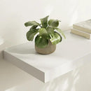 Large Floating Shelves for Wall Set of 3 Wooden Wall Shelves 24 in x 12.75 in x 2 in Room Decor Long Shelf with Invisible Wall Mount Bracket for Bedroom Kitchen Living Room White by CozyNest Decor