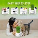 Organic Cat Grass Growing Kit - Promotes Natural Hairball Control and Digestive Wellness - Includes Organic Seed Mix, Nutrient-Rich Soil, and Stylish White Cat Planter by GreenHaven Gardens