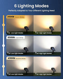 Solar Spot Lights Outdoor Waterproof IP67, 6 Lighting Modes 60 LED, Landscape Spotlights for Tree Yard Garden House Driveway Pathway（4 Pack） by GreenHaven Gardens