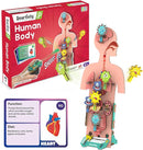 Smartivity Human Body Model for Kids 6-12 Years | Learn Body Organs, Functions with Fun Card Games | Cool Birthday Gift for Boys & Girls | DIY STEM Science Toys for Kids 6,7,8,9,10,11,12 Years I by TinyTreasures Baby Boutique