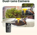 Birdfy Smart Bird Bath with Camera Solar Powered & Fountain, Dual-Lens Camera for Wildbird Watching, Auto Capture Bird Videos & Motion Detection - AI Lifetime Version (Yellowstone) by GreenHaven Gardens