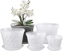Orchid Plants- 2 Each of 4, 5, 6 and 7 inch- 8 Sets with Saucers, Orchid Pots with Holes and Clear Plastic Orchid Pots for Repotting by GreenHaven Gardens