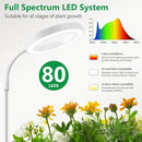 Floor Grow Lights for Indoor Plants, Full Spectrum Plant Light with 68" Stand for Growing Large Tall Plants, Halo Plant Grow Light with 6/12/16H Timer, 3 Light Modes Indoor Plant Light by GreenHaven Gardens